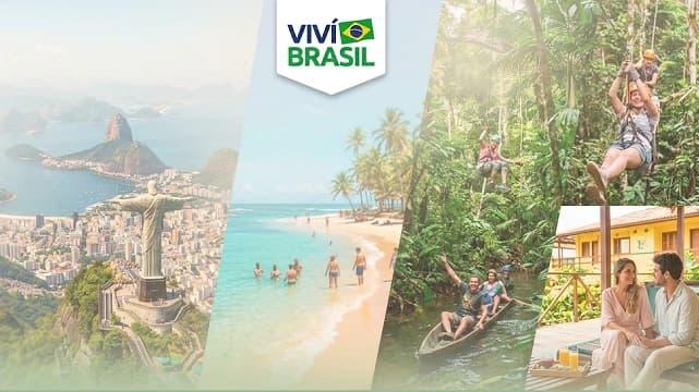 ônibus de Vivi Brasil