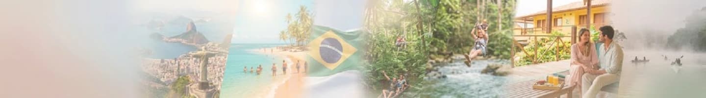 Vivi Brasil, passagens de ônibus